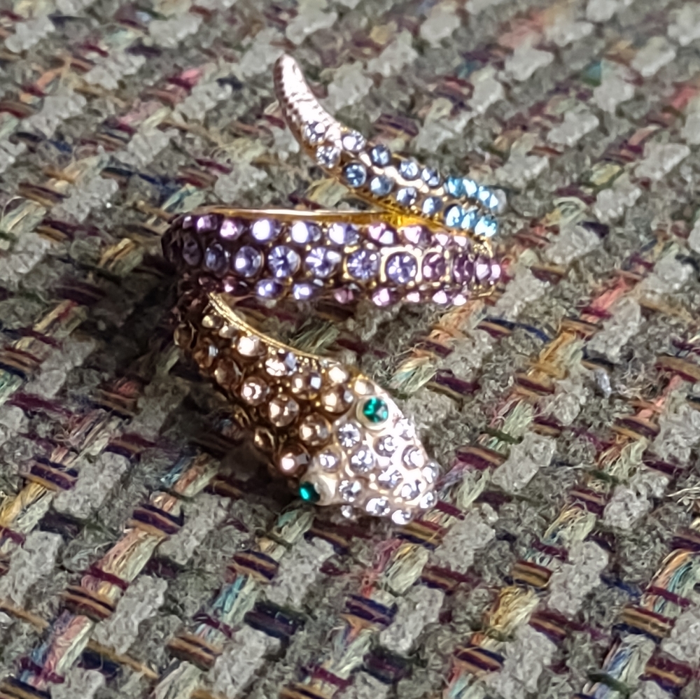 multi colored snake ring